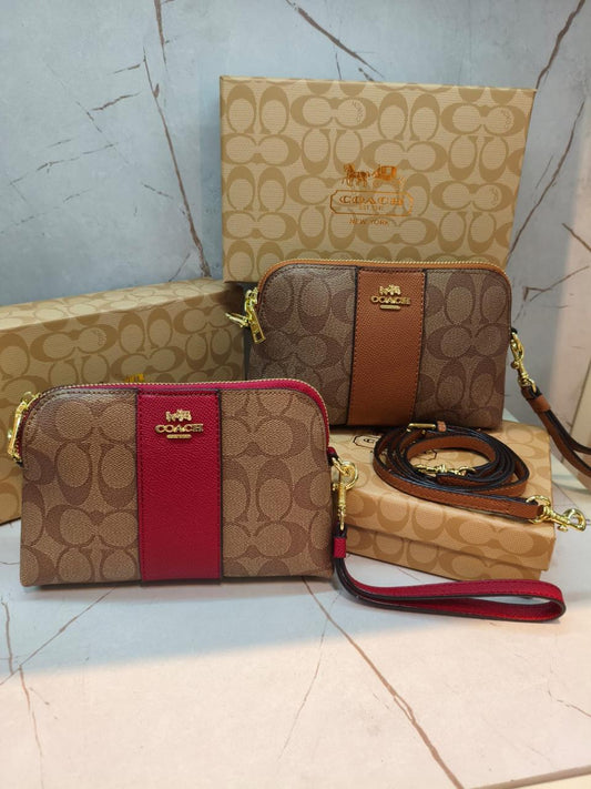Coach Mini Crossbody Dual Pack