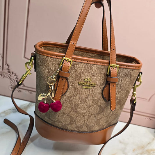 Coach Mollie Tote 25 Signature